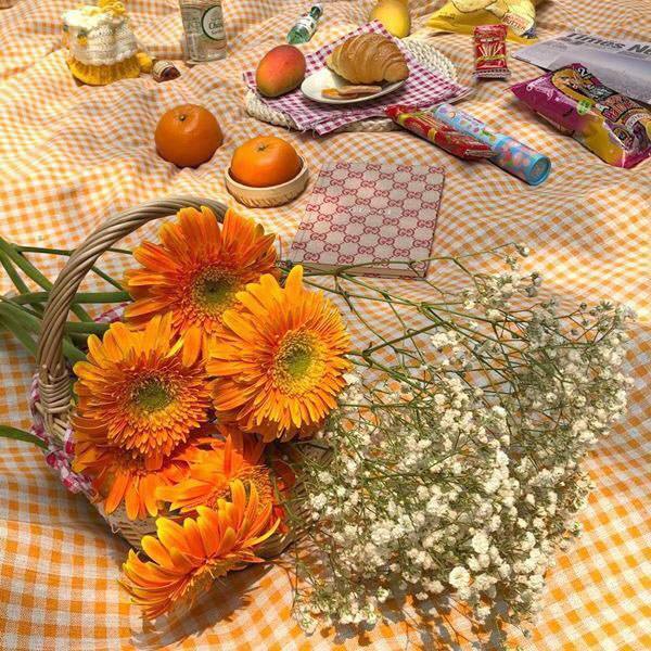 Cottagecore Aesthetic Gingham Tablecloth for Y2K Fashion & Retro Style Decor